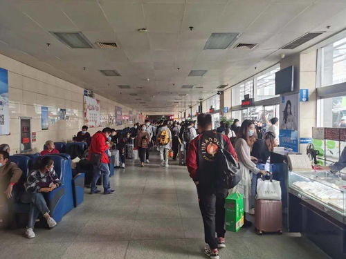 市交通局圓滿完成“雙節”期間運輸服務保障工作，全市運送旅客61.5萬人次